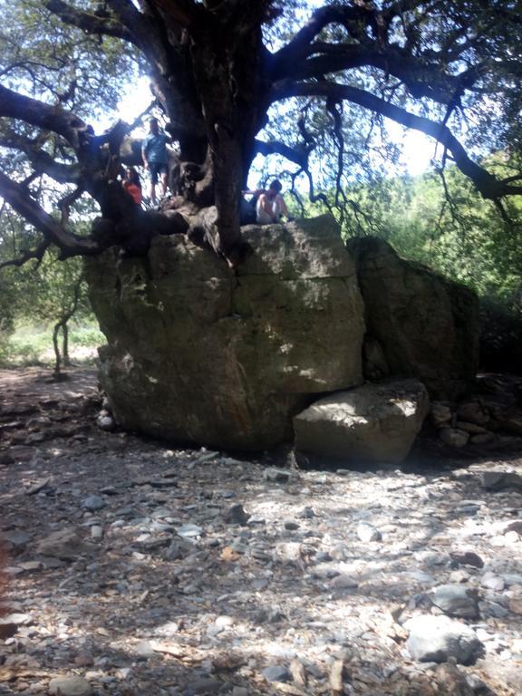 Naramanue Βίλα Dorgali Εξωτερικό φωτογραφία