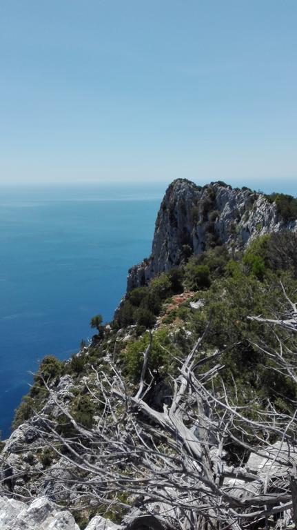 Naramanue Βίλα Dorgali Εξωτερικό φωτογραφία